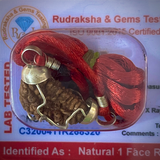 Ek Mukhi Nepali Rudraksha Original Certified